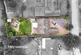 Sandyfields, Baldwins Gate, ST5 photo 2