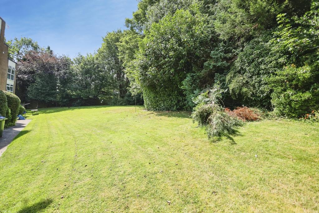 Garden view, garden