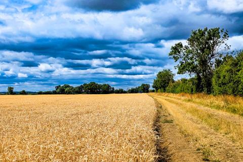 Land for sale, Willington, Bedford, Bedfordshire