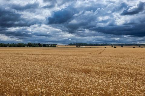 Land for sale, Willington, Bedford, Bedfordshire