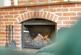 Rightup Lane, Wymondham, NR18 photo 5