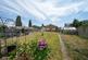 Primrose Lane, Tiptree photo 2