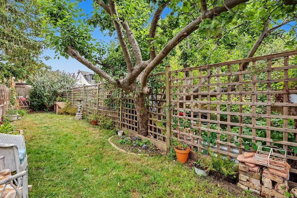 Garden view, garden
