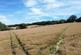 Sandhurst Road, Bodiam photo 3