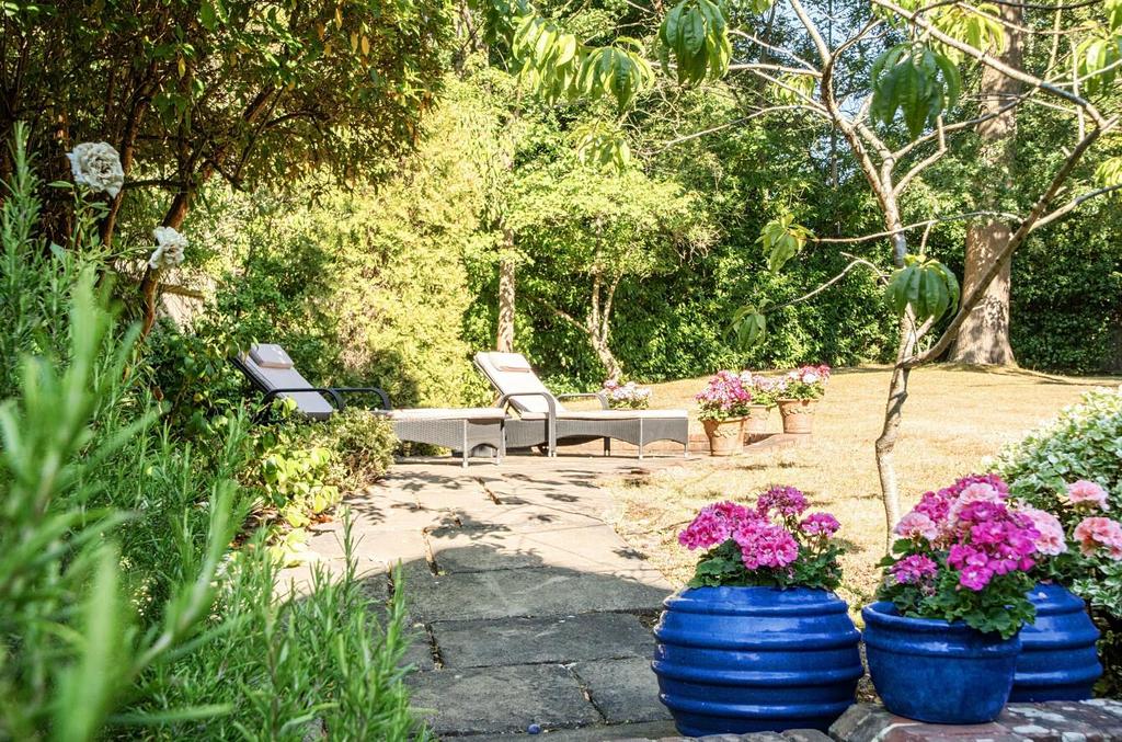 Garden view, garden