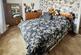 Meldon Terrace, Newbiggin NE64 photo 4