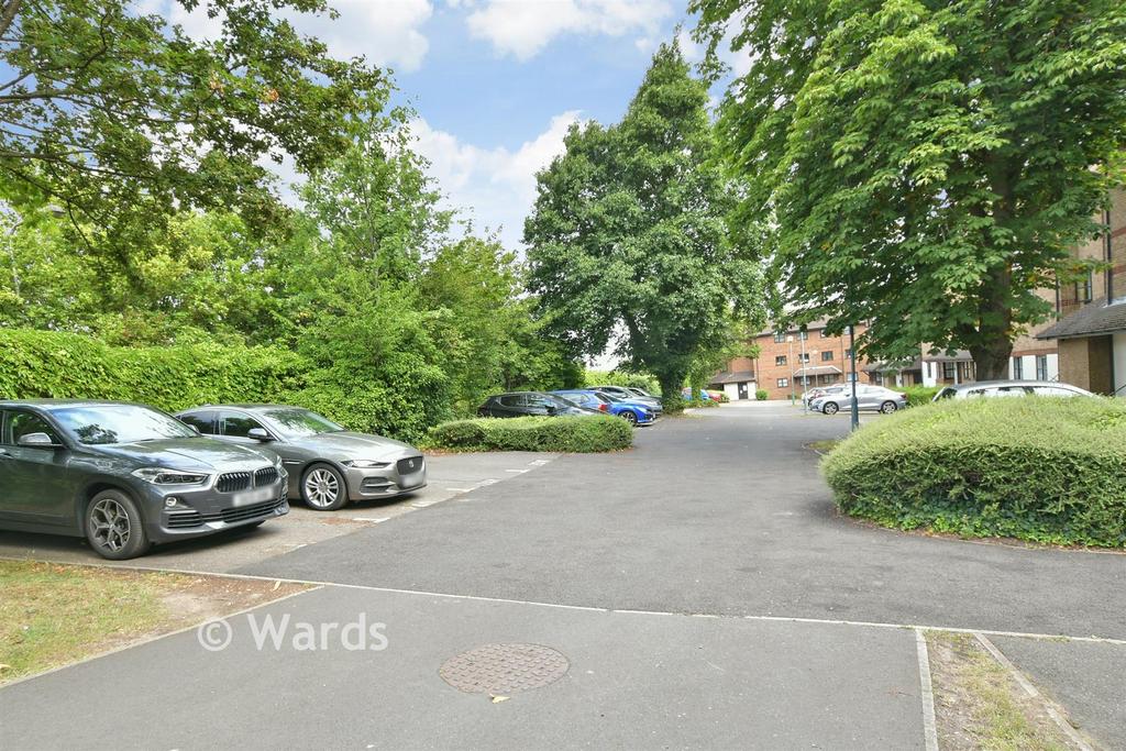 Driveway/Parking