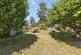 Hargham Road, Attleborough photo 3