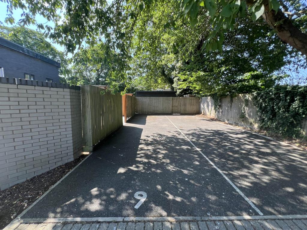 Driveway view