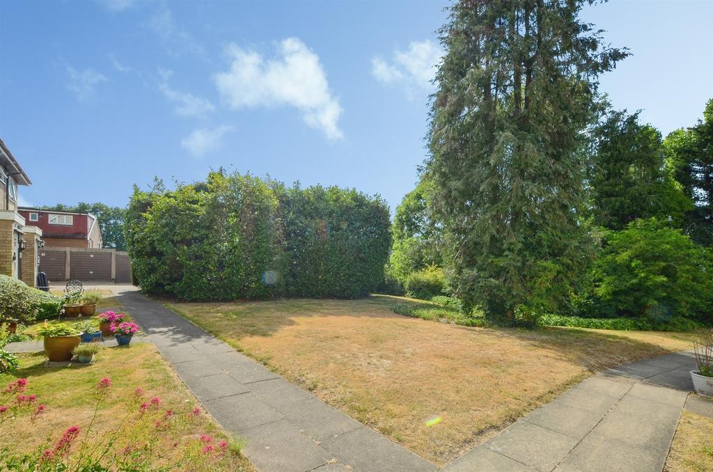 Garden view, garden