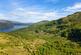 Carrick Castle Estate, Lochgoilhead, Cairndow, Argyll and Bute