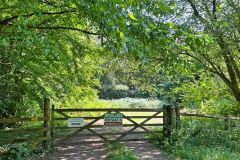 Woodland for sale, Sledge Wood (six and three quarter acres), Sissinghurst, Kent TN27
