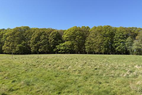 Woodland for sale, Three and three quarter acres, Biddenden, Kent TN27