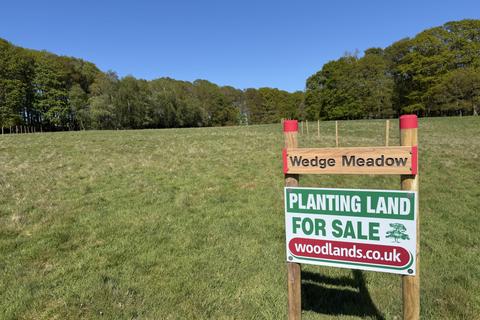 Woodland for sale, Three and three quarter acres, Biddenden, Kent TN27