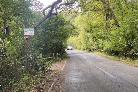 Woodland for sale, Three and three quarter acres, Biddenden, Kent TN27