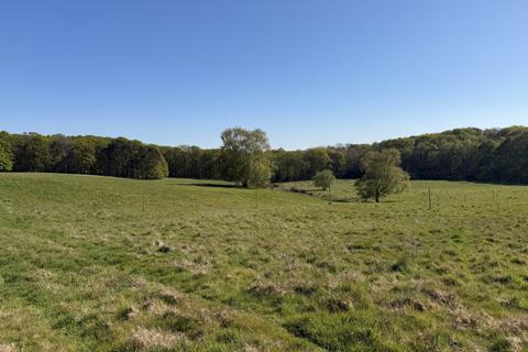 Woodland for sale, Three and three quarter acres, Biddenden, Kent TN27
