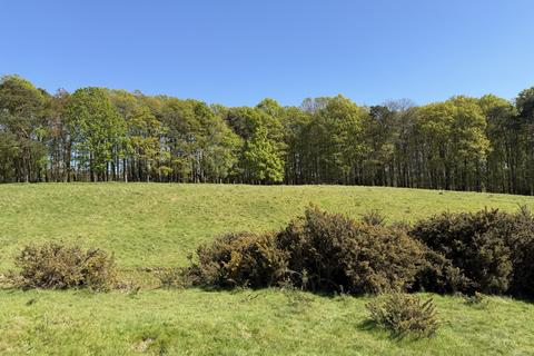 Woodland for sale, Four and three quarter acres, Biddenden, Kent  TN27