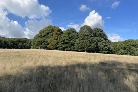 Woodland for sale, Four and three quarter acres, Biddenden, Kent  TN27