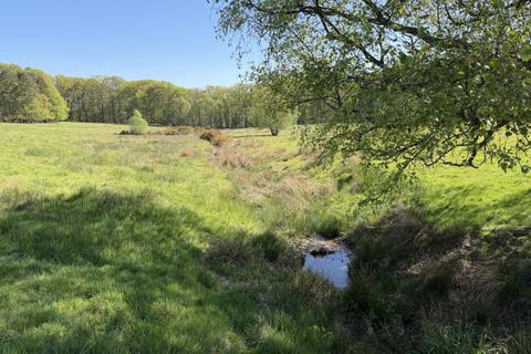 Woodland for sale, Four and three quarter acres, Biddenden, Kent  TN27