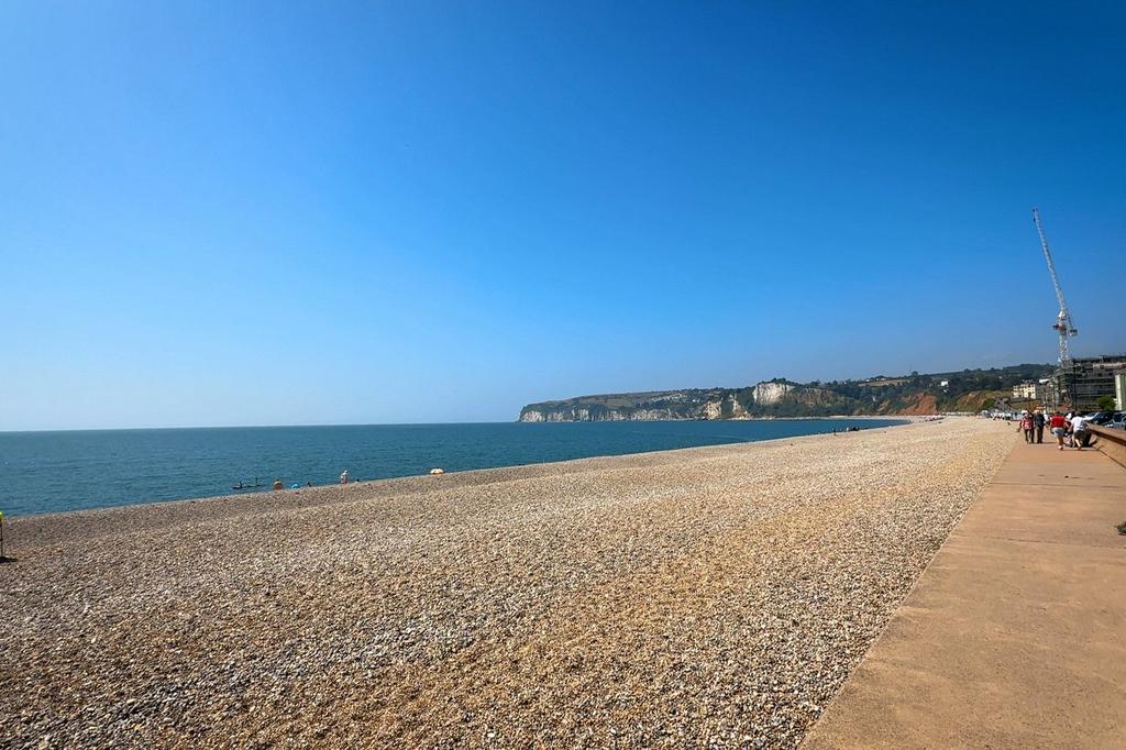 Local Beach