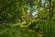 Dinder, Wells BA5 3PW photo 2