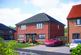 Daisy - 20 Mistletoe Close, Redcar