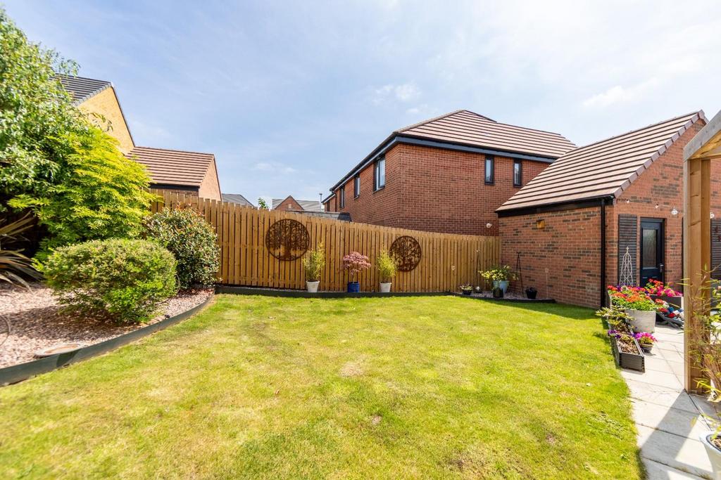 Garden view, garden