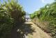 Linden Road, Dunstable photo 2