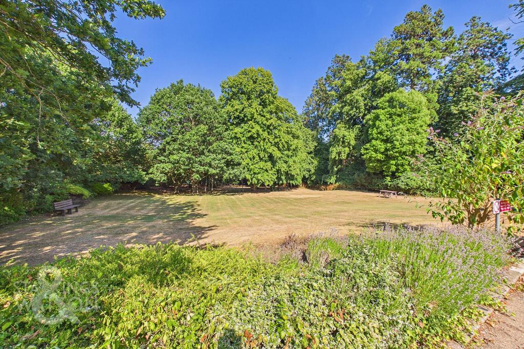 Garden view, garden