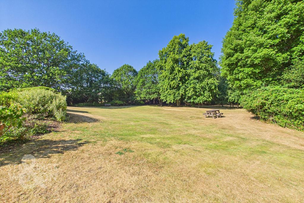 Garden view, garden