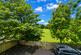 Launceston, Cornwall PL15 photo 5