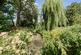 Beech Lane, Earley, Reading photo 3