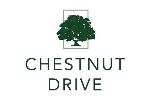undefined, Plot 18, The Chestnut, Chestnut Drive, Curry Rivel, Langport, Somerset, TA10