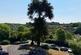 Alpine Court, Kenilworth photo 2