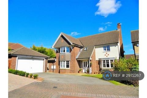 4 bedroom detached house to rent, Fewston Close, Hartlepool, TS26
