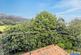 Brightley, Okehampton photo 3