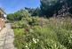 Orchard Road, Braunton EX33 photo 2