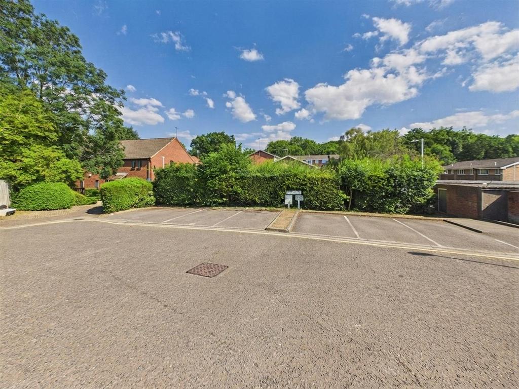 Driveway view