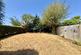 Icknield Way, Luton, LU3 photo 3