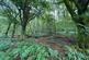 Capel Dewi, Llandysul, SA44 photo 4