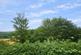 Knucklas Road, Knighton photo 3