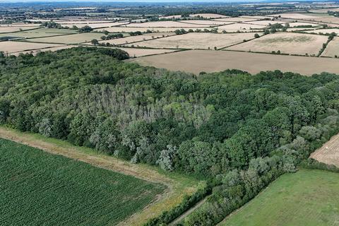 Woodland for sale, Great Rose Lane, Swindon SN26