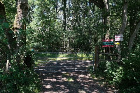 Woodland for sale, Great Rose Lane, Swindon SN26