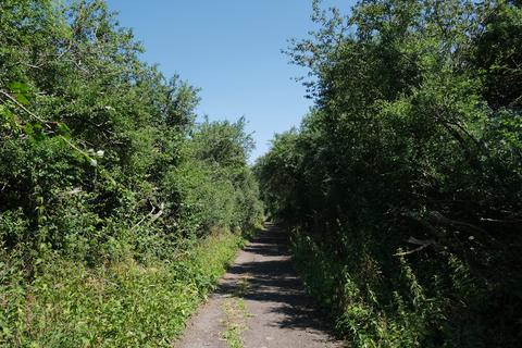 Woodland for sale, Great Rose Lane, Swindon SN26