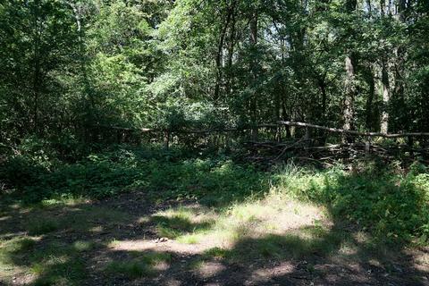 Woodland for sale, Great Rose Lane, Swindon SN26
