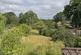 Chiddingfold - *No Onward Chain* photo 3