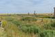 Amble, Morpeth NE65 photo 4