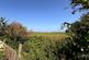 Low Lane, Croft, SKEGNESS photo 4