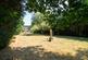 Ferndale, Hadbutt Lane, Astley, M29 photo 3