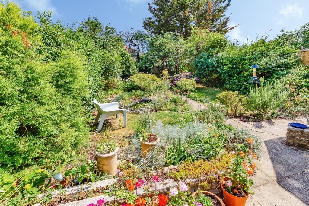 Garden view, garden